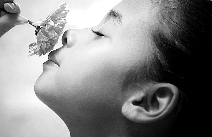 无需激活直接用的免费ddos在线攻击测试网站